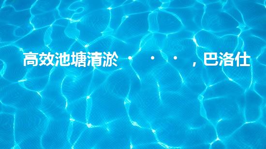 高效池塘清淤，巴洛仕設(shè)備助您一臂之力